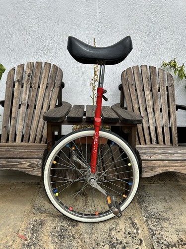 Pashley unisex unicycle - unisex,